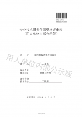 專業(yè)技術(shù)職務(wù)任職資格評審表 （用人單位內(nèi)部公示版）